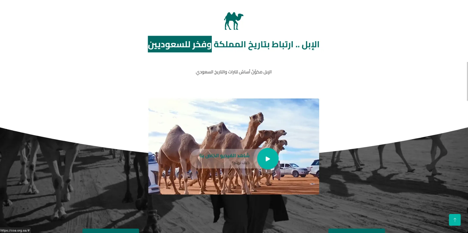 ملاك الإبل